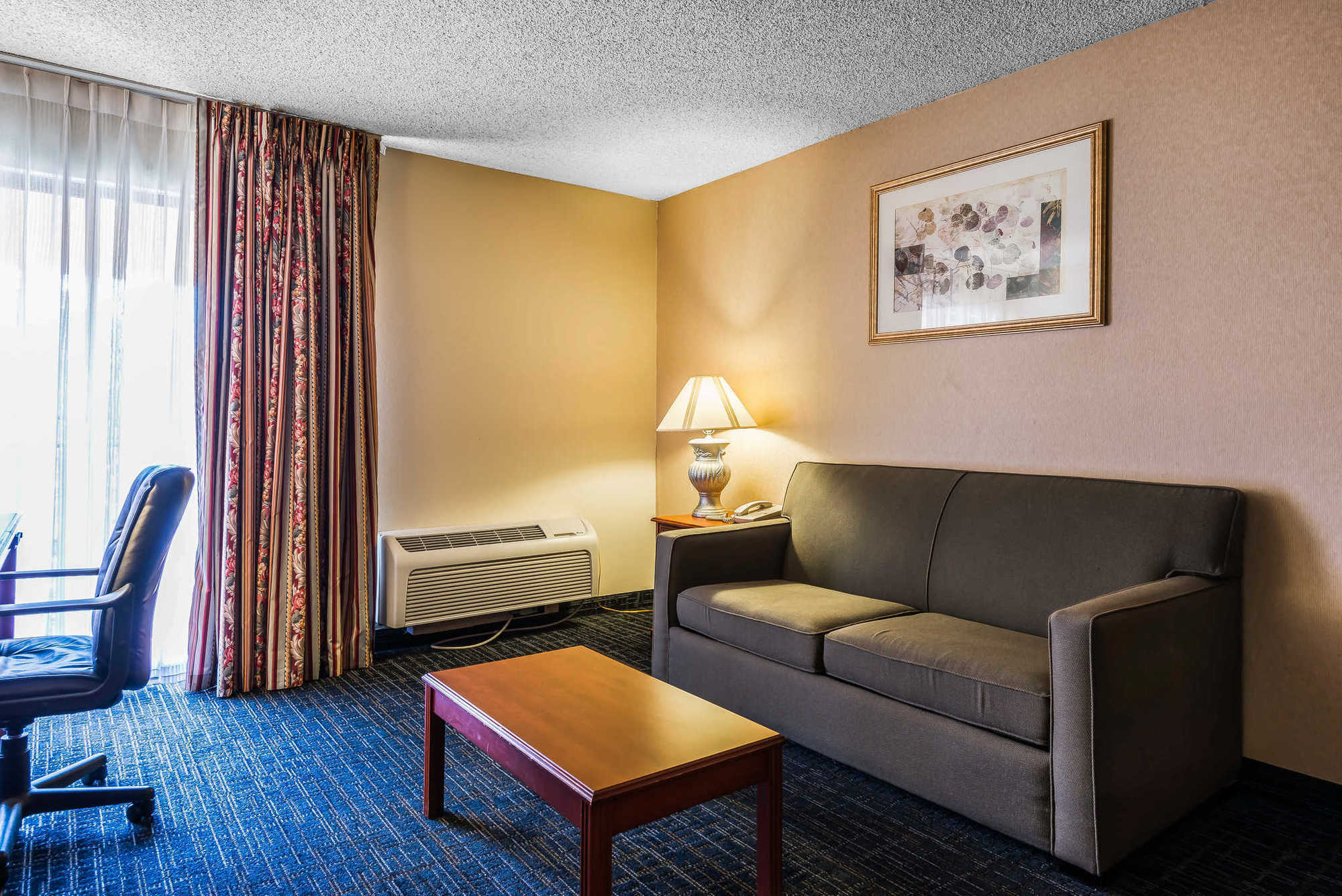 Quality Suites Central 콜로라도스프링스 객실 사진