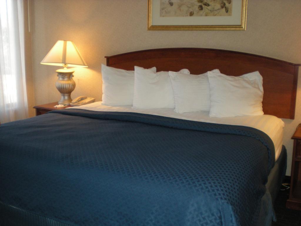 Quality Suites Central 콜로라도스프링스 외부 사진